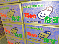 出荷産品(なす)
