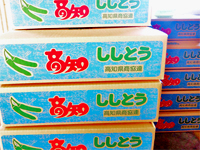 商品(ししとう)箱