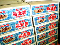 商品(生姜)箱