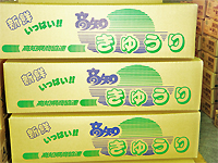 商品(きゅうり)箱