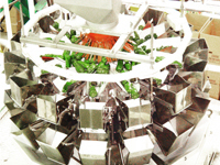 自動計量機(ピーマン)